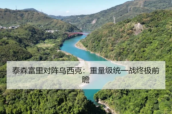 泰森富里对阵乌西克：重量级统一战终极前瞻