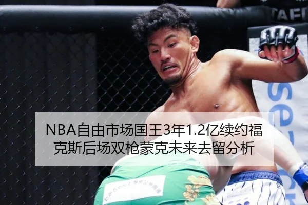 NBA自由市场国王3年1.2亿续约福克斯后场双枪蒙克未来去留分析
